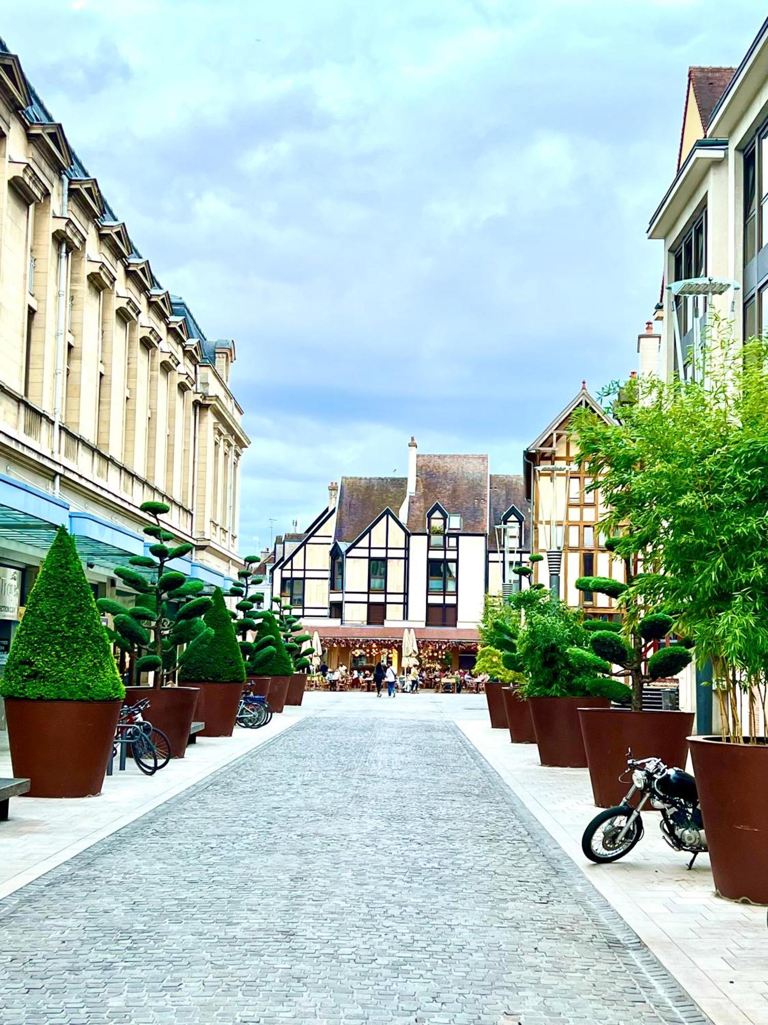 Spa Et Sauna Luxueux Hyper Centre Troyes Exterior photo
